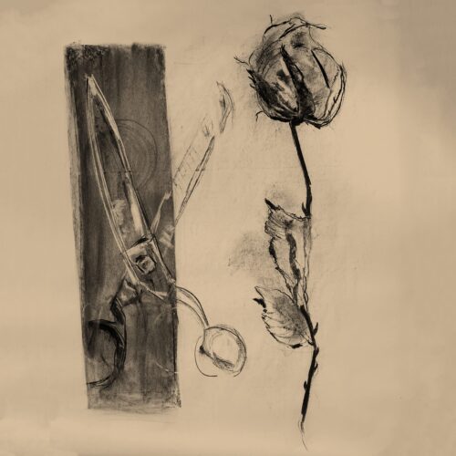 rose_and_scissors_quad